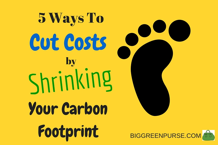 cut costs shrink carbon footprint