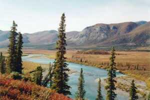 Arctic Wildlife Refuge