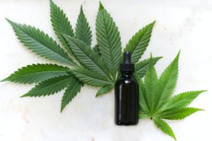 eco-friendy lifestyle CBD oil