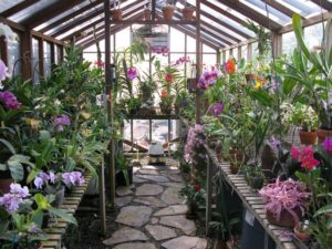 Build Your Own Greenhouse