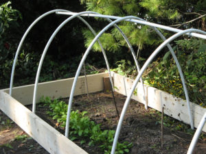 Hoop house