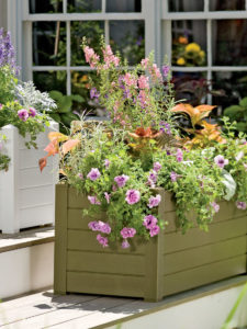 garden planter