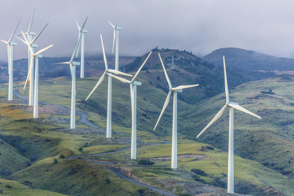 Windmills generate clean electricity.